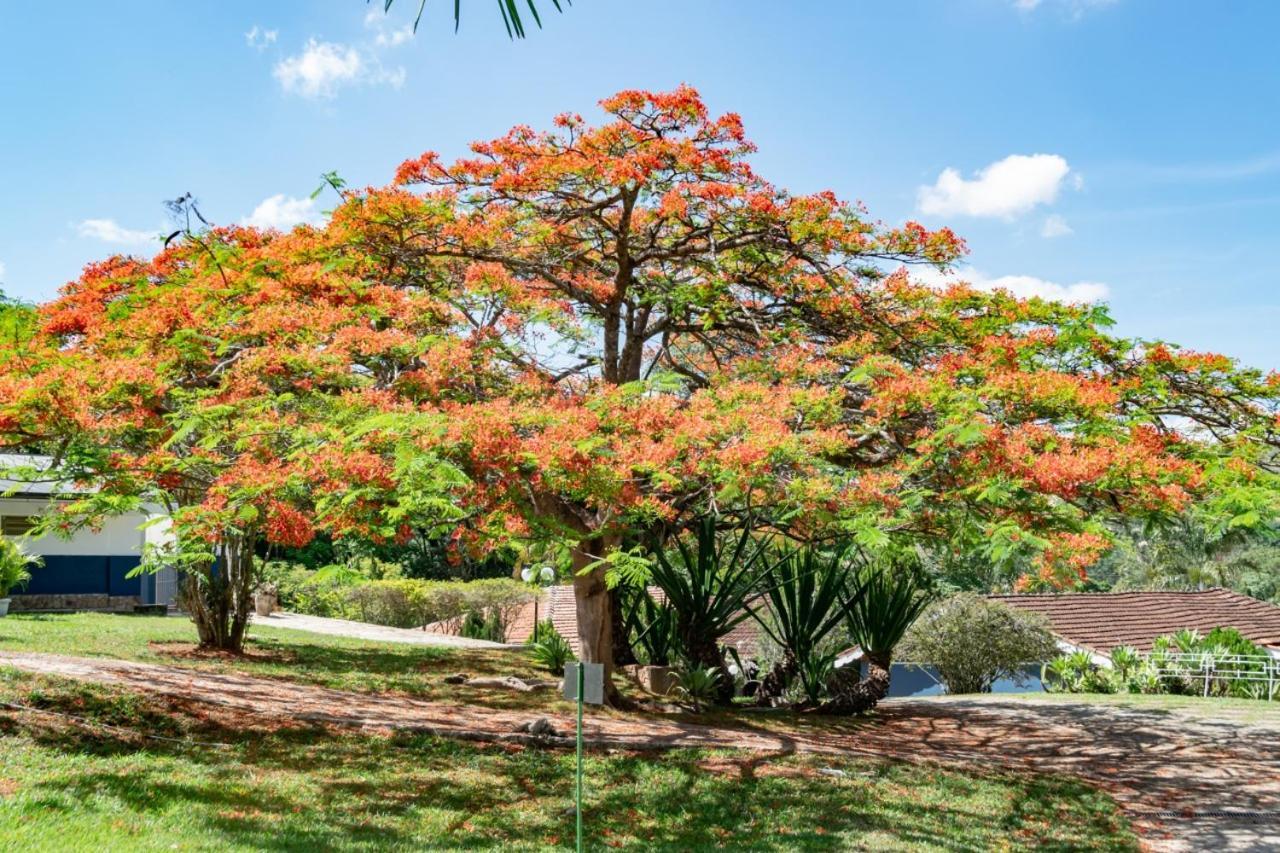 Villa Do Sossego Pousada Lindóia Buitenkant foto